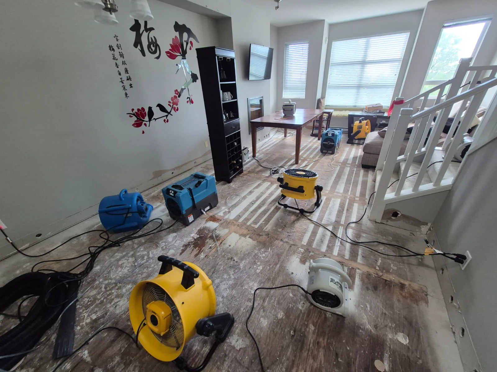Air movers and dehumidifiers drying a living room